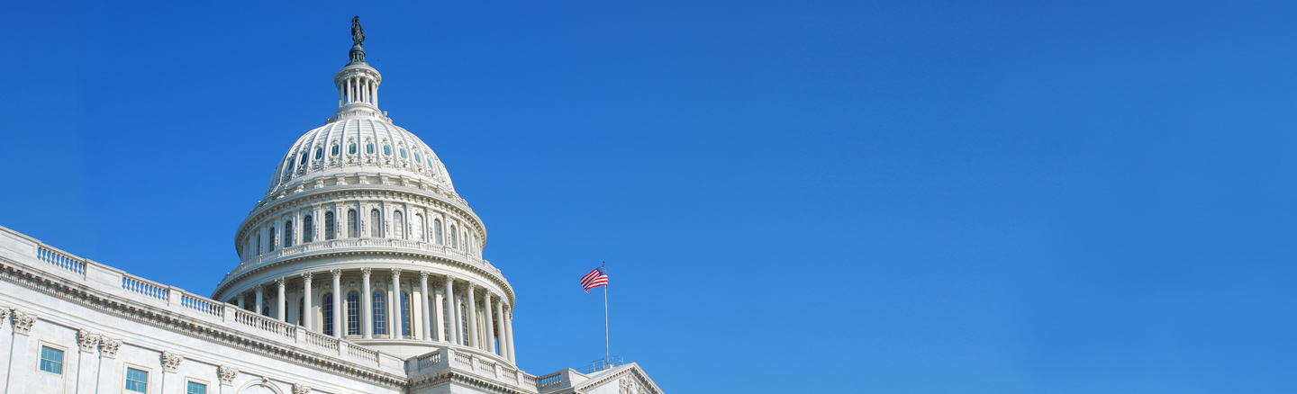 Capitol building in Washington DC